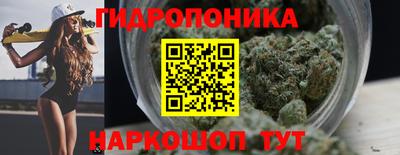 apvp Пугачёв