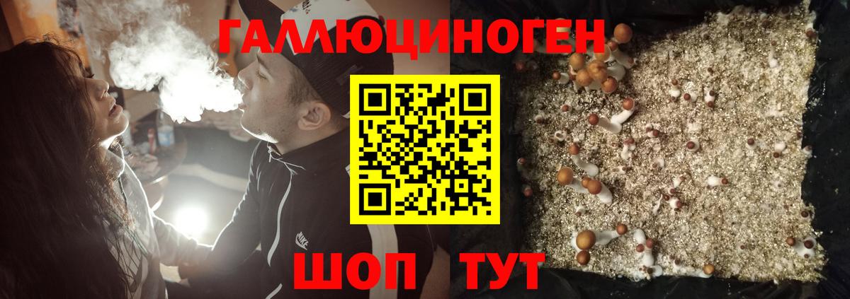 где можно купить   Вход с VPN  Похвистнево  Галлюциногенные грибы Psilocybe 