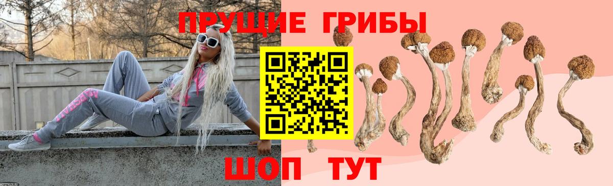 Галлюциногенные грибы Psilocybine cubensis Похвистнево